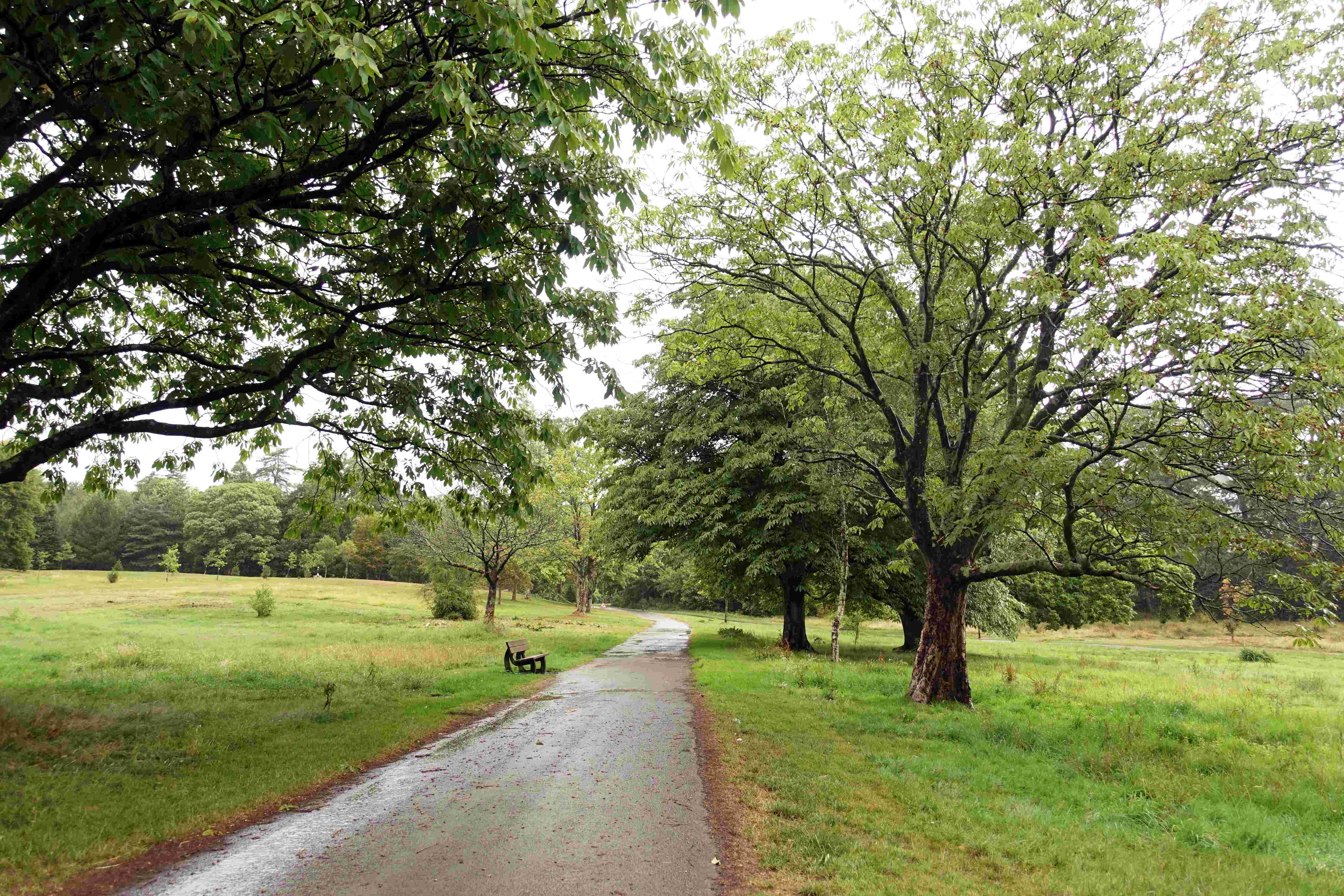 싱글턴 공원 (Parc Singleton Park)